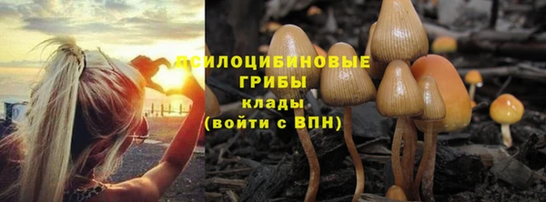 бошки Алексин