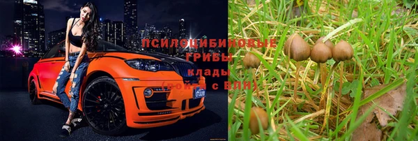 амфетамин Алексеевка