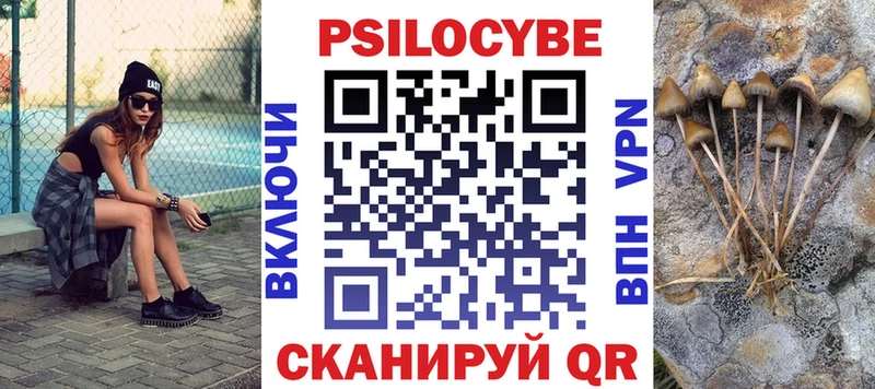Галлюциногенные грибы Psilocybe  Заволжск 