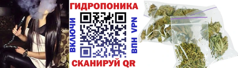 МАРИХУАНА план  где купить наркоту  Заволжск 
